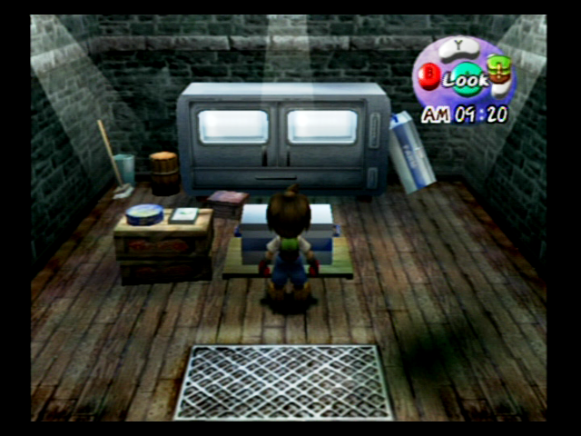 Harvest Moon: A Wonderful Life screenshot 4 for Gamecube